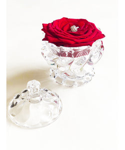 Eternity Rose in Glass Jar