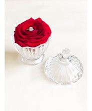Load image into Gallery viewer, Eternity Rose in Glass Jar