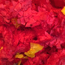 Load image into Gallery viewer, Paper Garlands 12 pack