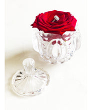 Load image into Gallery viewer, Eternity Rose in Glass Jar